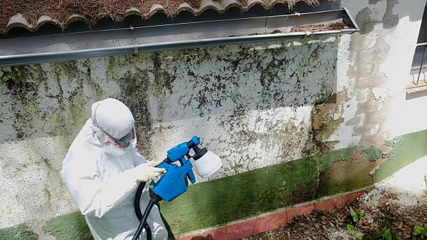 Trusted Mold Remediation service in Hudson, CO - Cheap Mold Removal